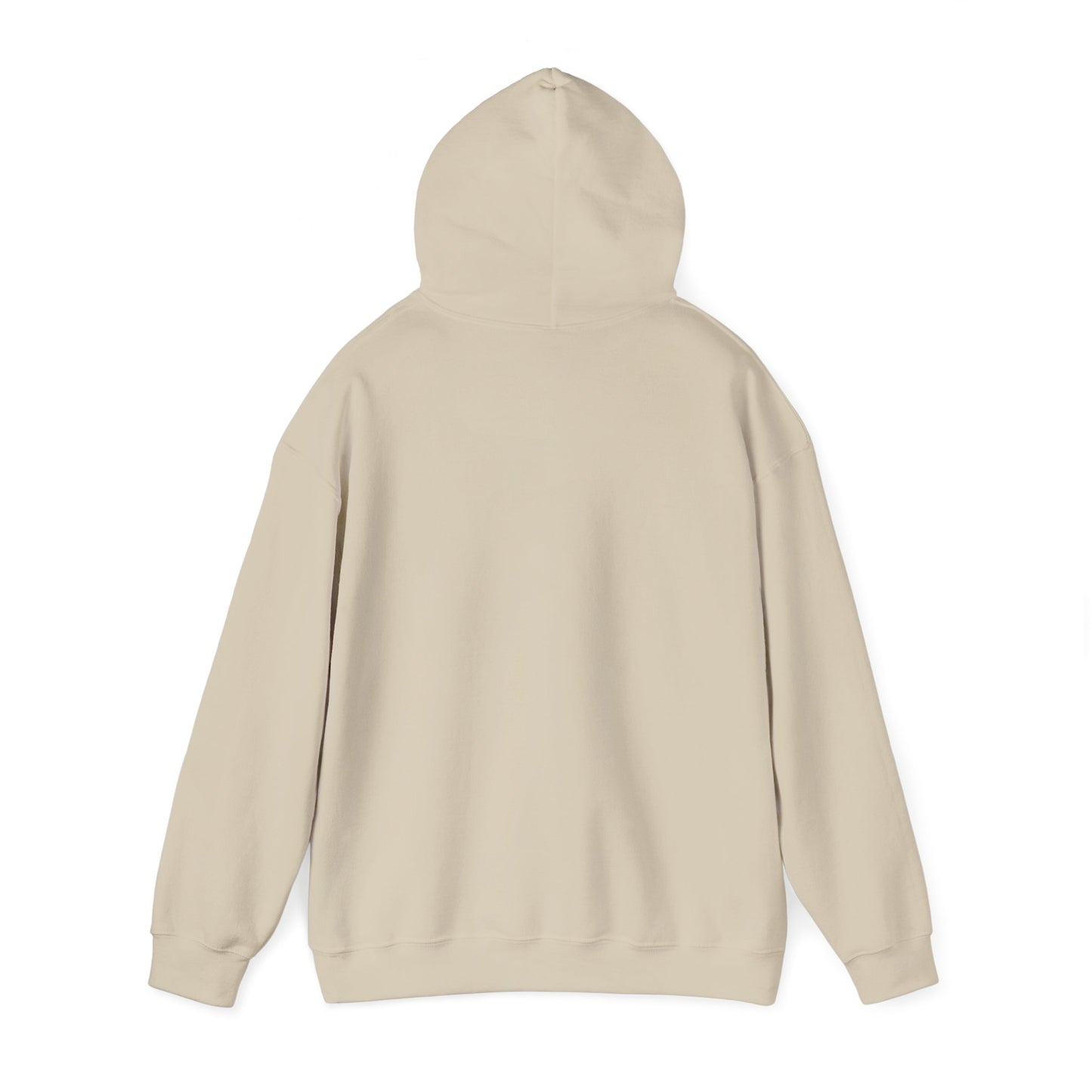Inspirational Unisex Hoodie, Cozy Purpose-Driven Sweatshirt