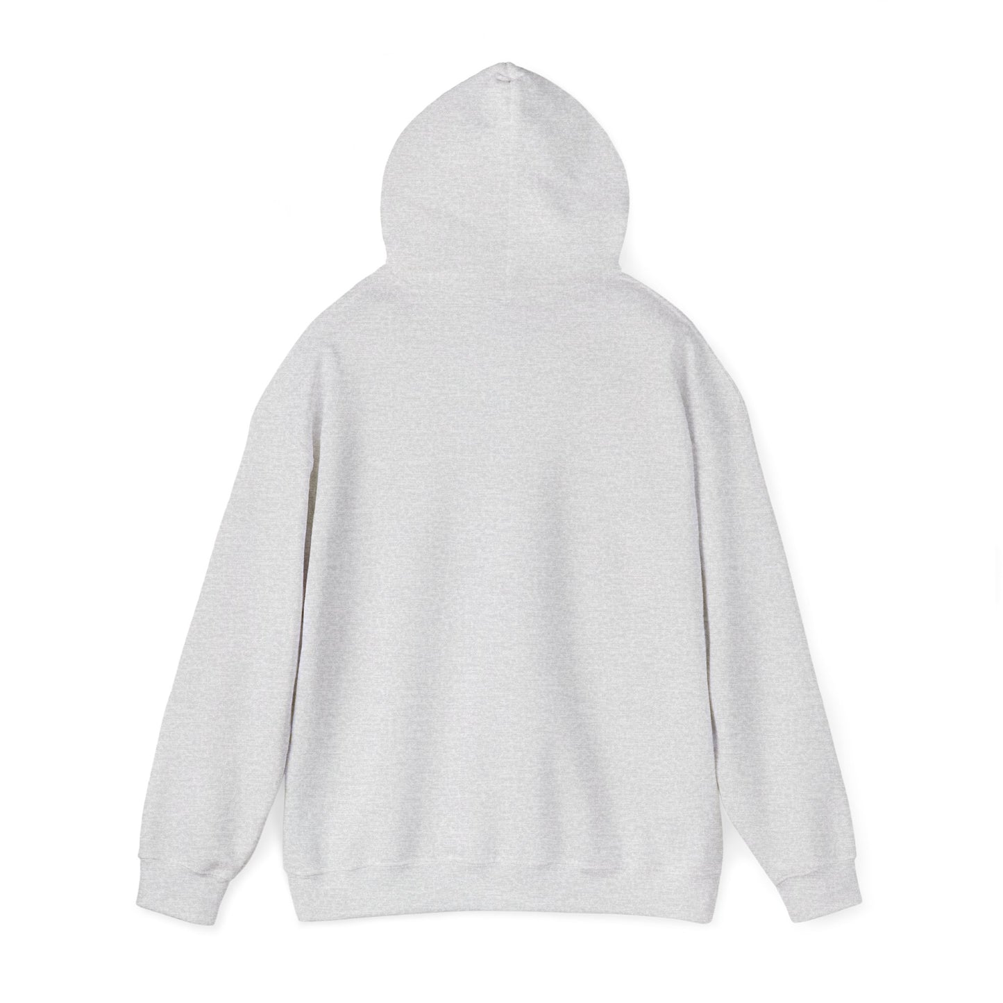 Inspirational Unisex Hoodie, Cozy Purpose-Driven Sweatshirt