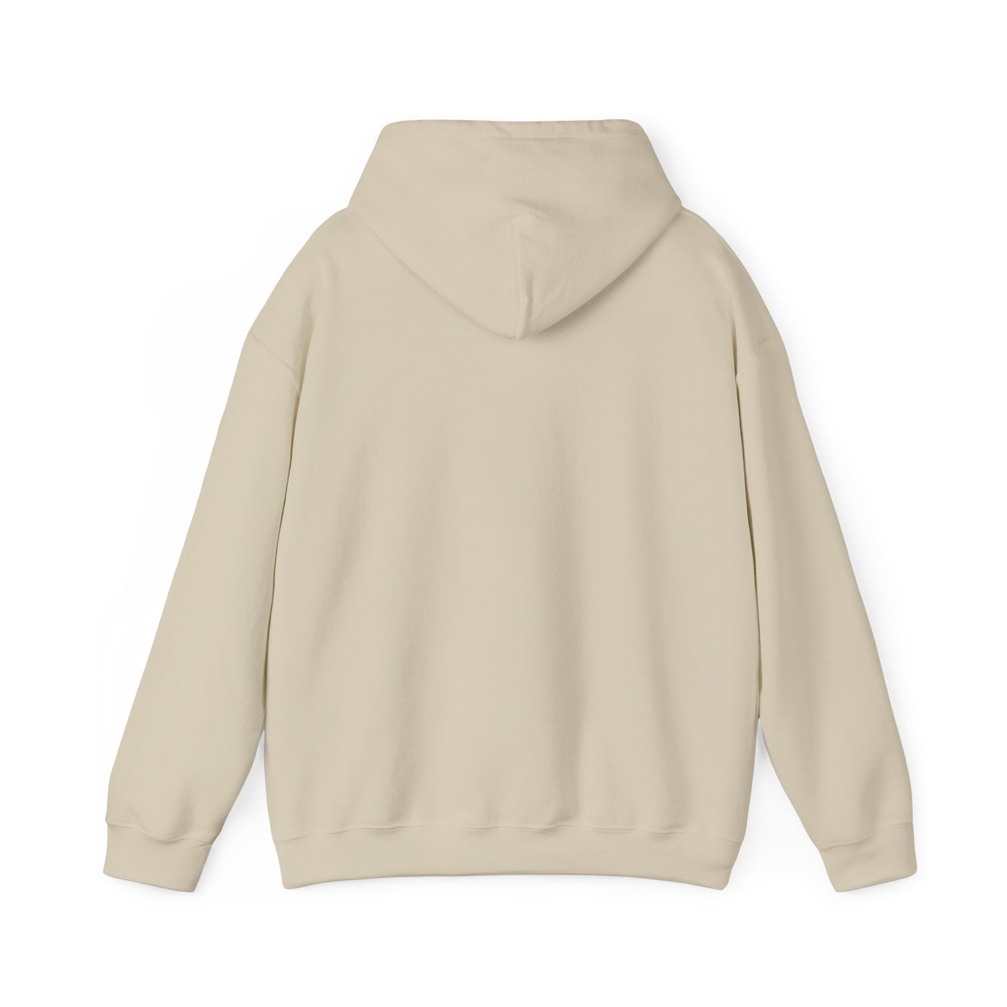 Inspirational Unisex Hoodie, Cozy Purpose-Driven Sweatshirt