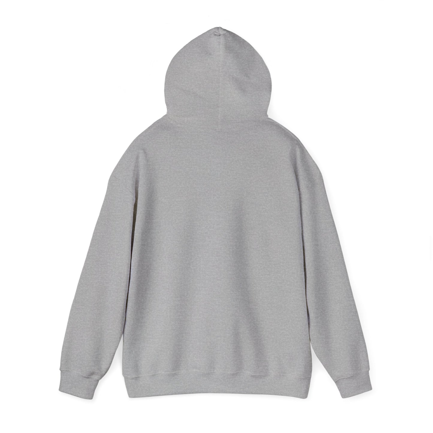 Inspirational Unisex Hoodie, Cozy Purpose-Driven Sweatshirt